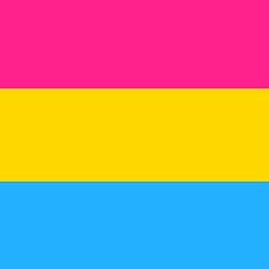 pansexual flag